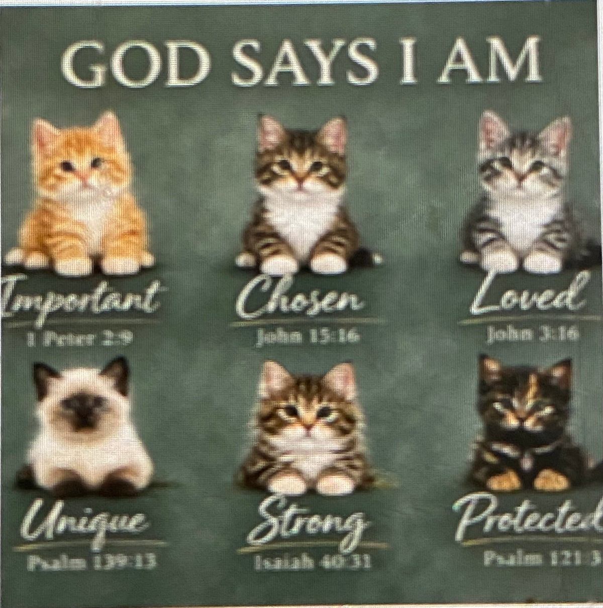 God Says I Am Cats Mousepad