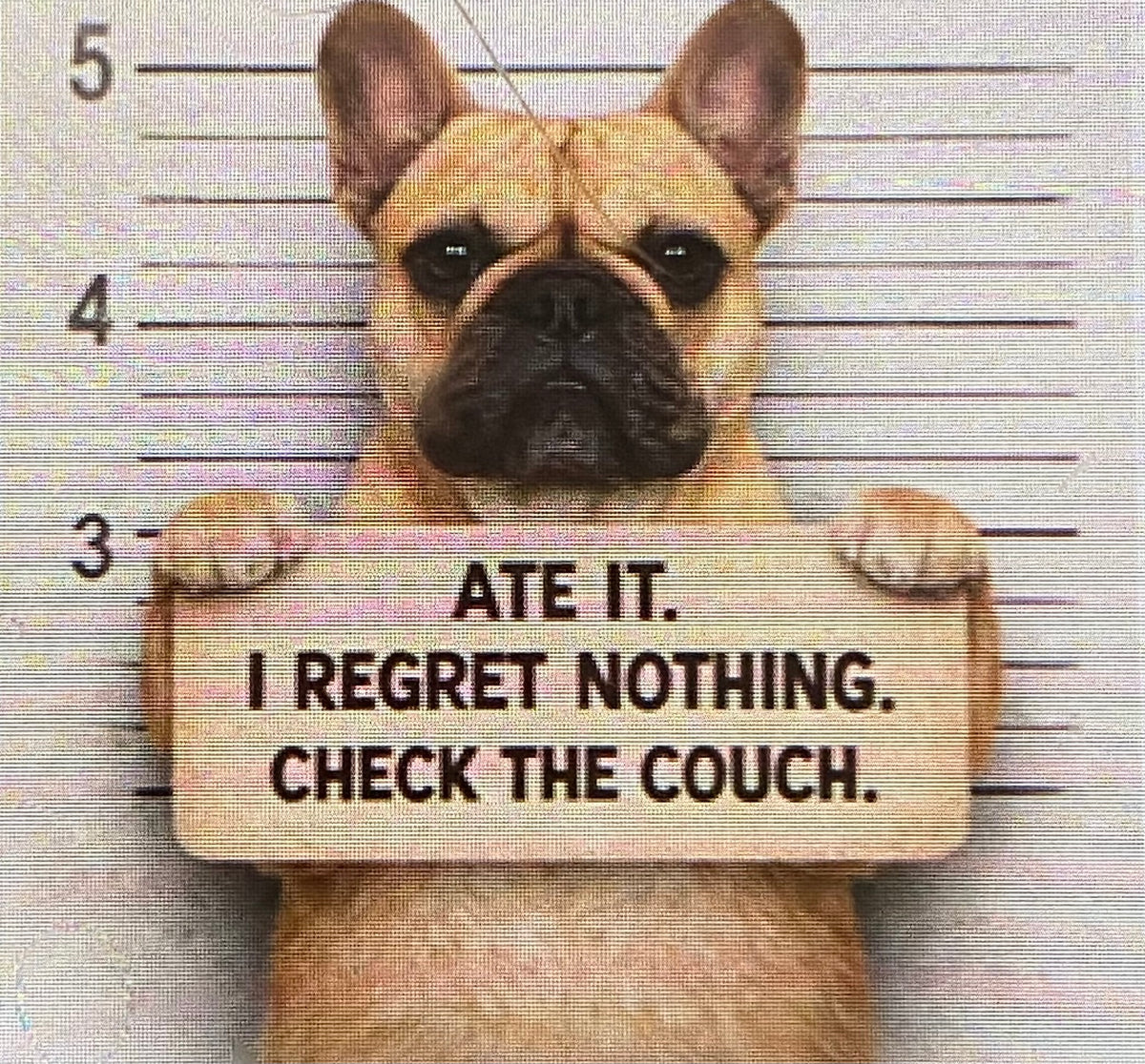 French Bulldog Ate It Mousepad
