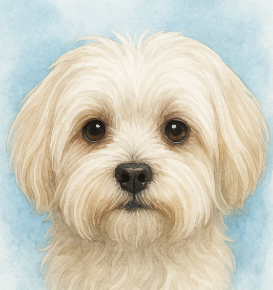 White Fluffy Dog Car Coasters – Set of 2