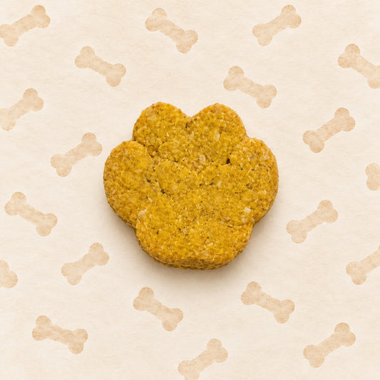 Single golden applesauce oat paw biscuit with subtle bone-pattern cream background
